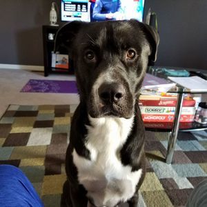 Meet your Posher, Doug